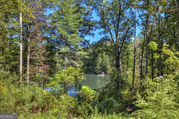 Ellijay, GA 30540,LT 34 Hilton DR