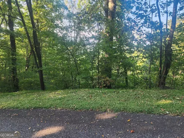 Mineral Bluff, GA 30559,LT20 Raven Ridge CIR