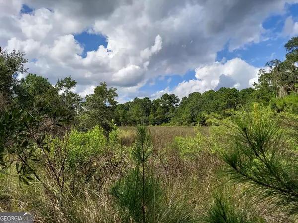 Savannah, GA 31405,181 Burton RD