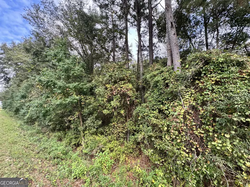 0 Elko RD, Unadilla, GA 31091