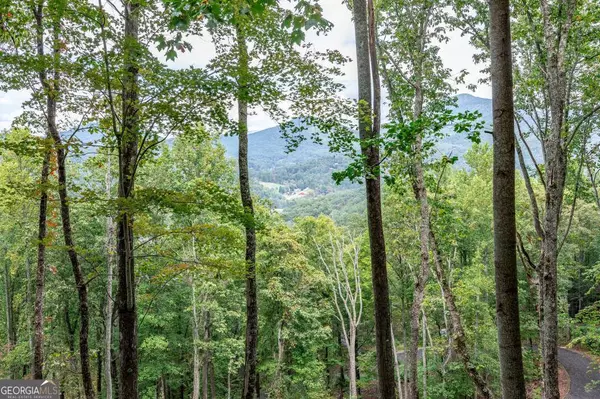 Hiawassee, GA 30546,LOT 20 Buckhead HLS
