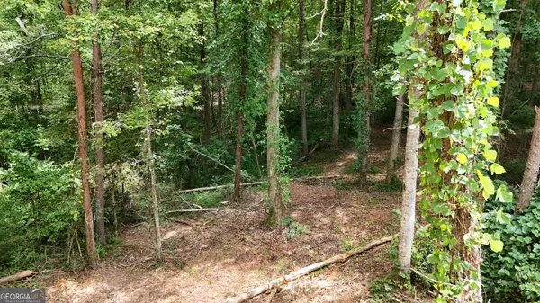 Clarkesville, GA 30523,LOT 3 Hollywood Church RD