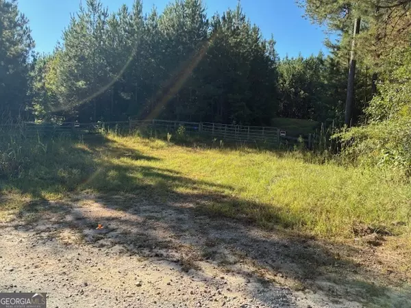 Milledgeville, GA 31061,117 Moran Springs RD