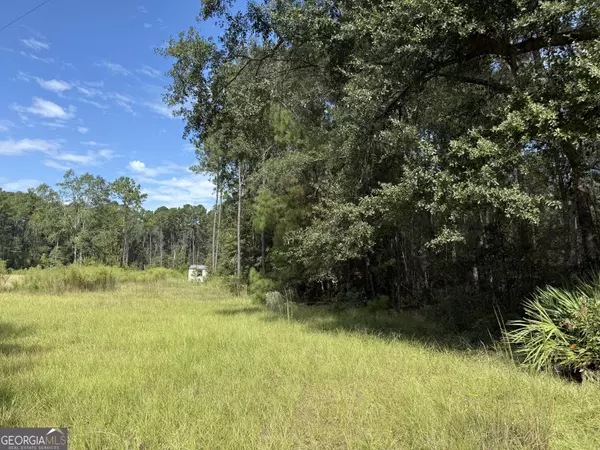 Rincon, GA 31326,124 Oak ST