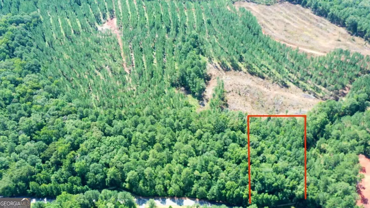 Sparta, GA 31087,165 Jamesway DR