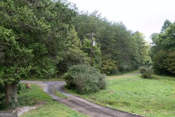 Mineral Bluff, GA 30559,149 Spring ST