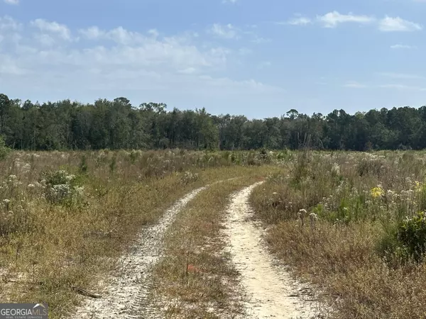 Sylvania, GA 30467,0 Runs Branch RD