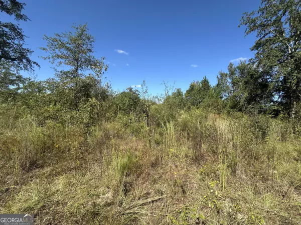 Sylvania, GA 30467,0 Waynesboro Hwy