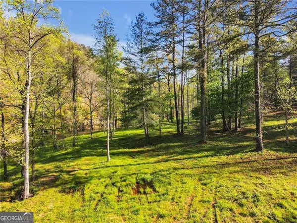 Talking Rock, GA 30175,002 Swan Bridge RD