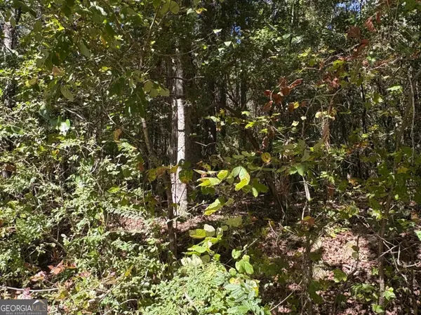 Union Point, GA 30669,0 Old Greensboro RD