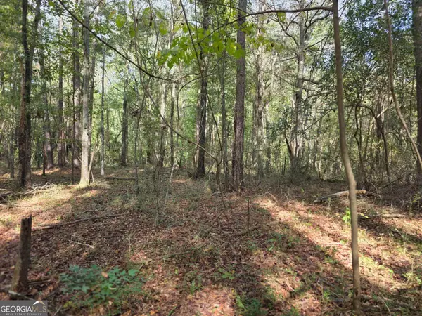 Bishop, GA 30621,0 High Shoals