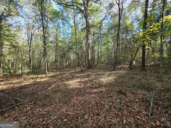 Bishop, GA 30621,0 High Shoals