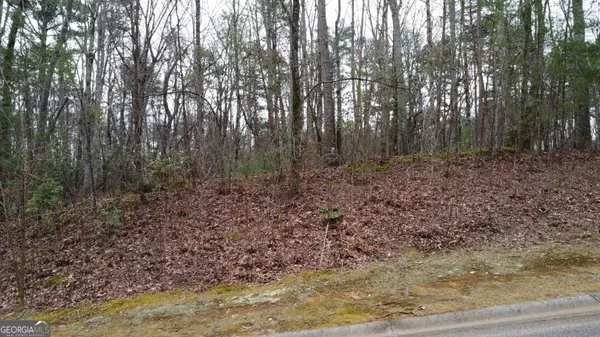 Clarkesville, GA 30523,LOT 1446 Glazenwood DR