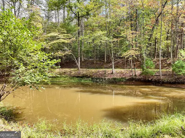 Blue Ridge, GA 30513,307 Mountain Creek RD