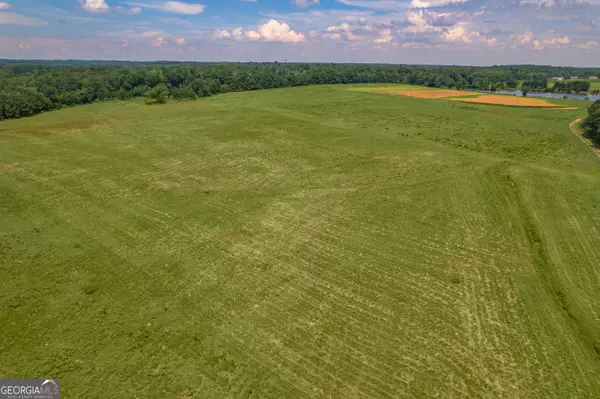 Griffin, GA 30223,265 Hamil RD #31.89 AC