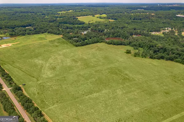 Griffin, GA 30223,265 Hamil RD #31.89 AC