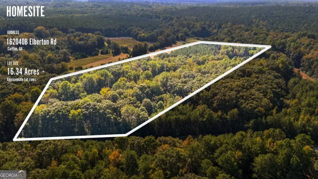 0 Elberton RD, Carlton, GA 30627