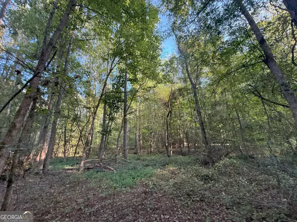 Elberton, GA 30635,15 Emmaus RD