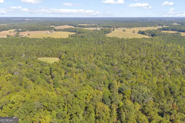 Social Circle, GA 30025,0 Social Circle Fairplay RD