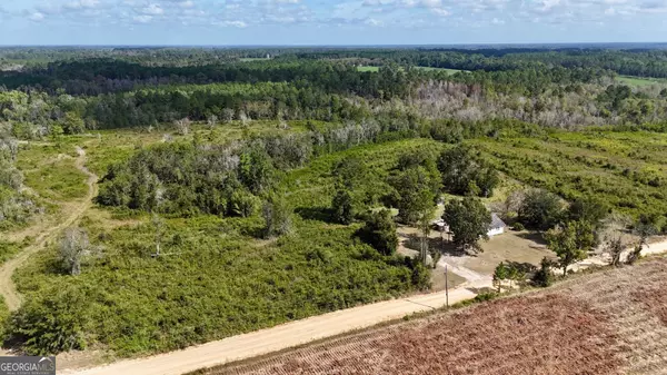 Mershon, GA 31551,0 Pine Cone TRL