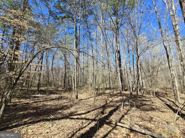 Covington, GA 30016,0 River Shoals CT