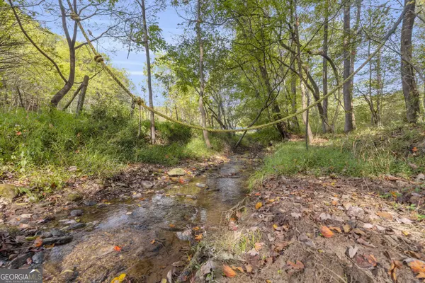 Cleveland, GA 30528,438 Turner RD