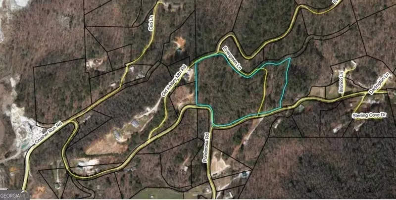 Dillard, GA 30537,0 Evergreen LN