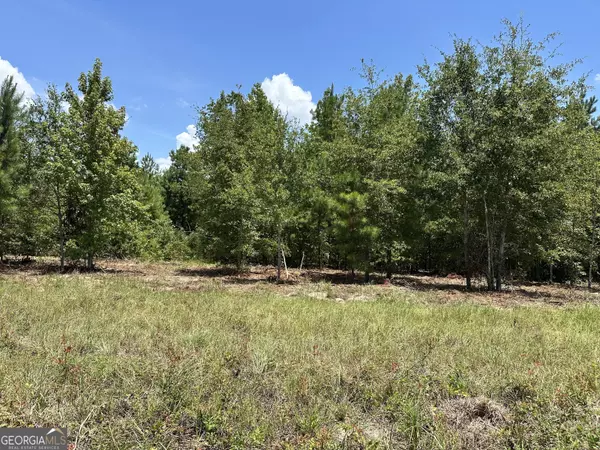 Dublin, GA 31021,0 Highway 19