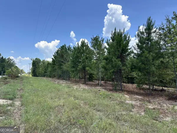 Dublin, GA 31021,0 Highway 19