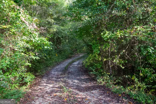 Franklin, GA 30217,576 Red Land RD