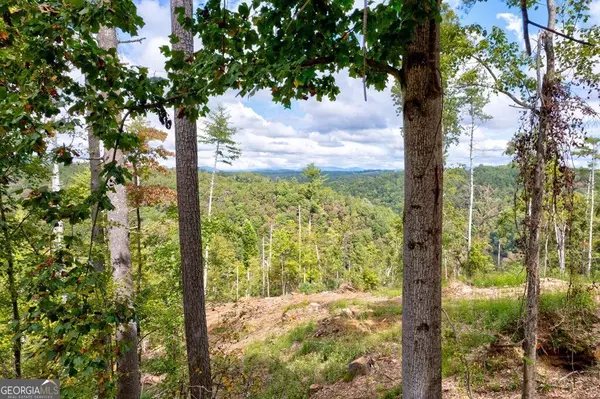Ellijay, GA 30540,LT 931R Myna DR