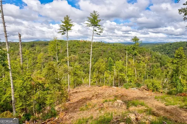 Ellijay, GA 30540,LT 931R Myna DR