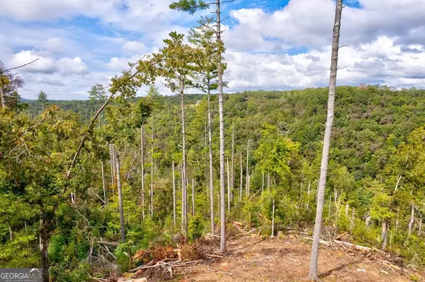 Ellijay, GA 30540,LT 931R Myna DR