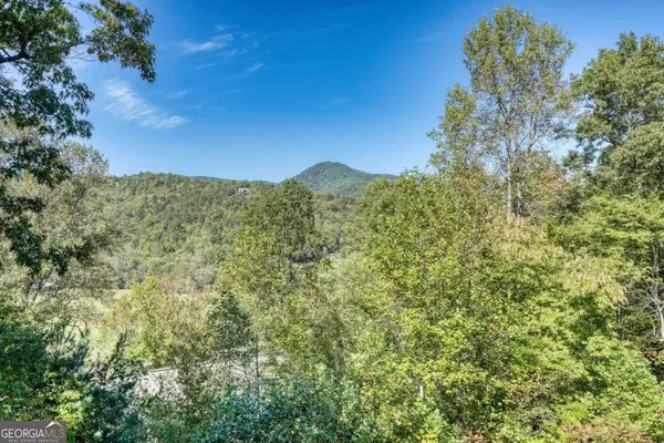 Hiawassee, GA 30546,5702 Valley View DR