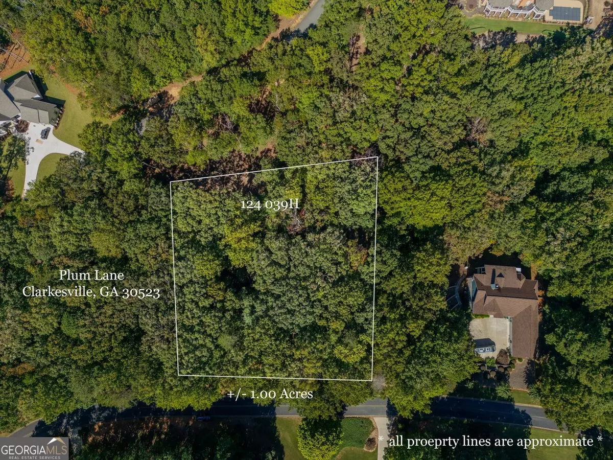 Clarkesville, GA 30523,0 Plum LN