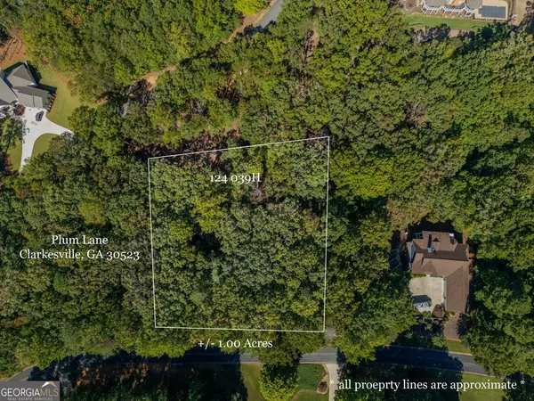 0 Plum LN, Clarkesville, GA 30523