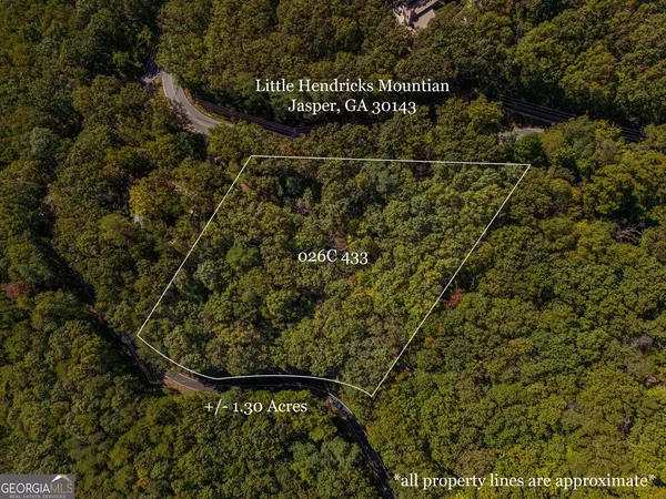 0 Little Hendricks Mountain RD, Jasper, GA 30143