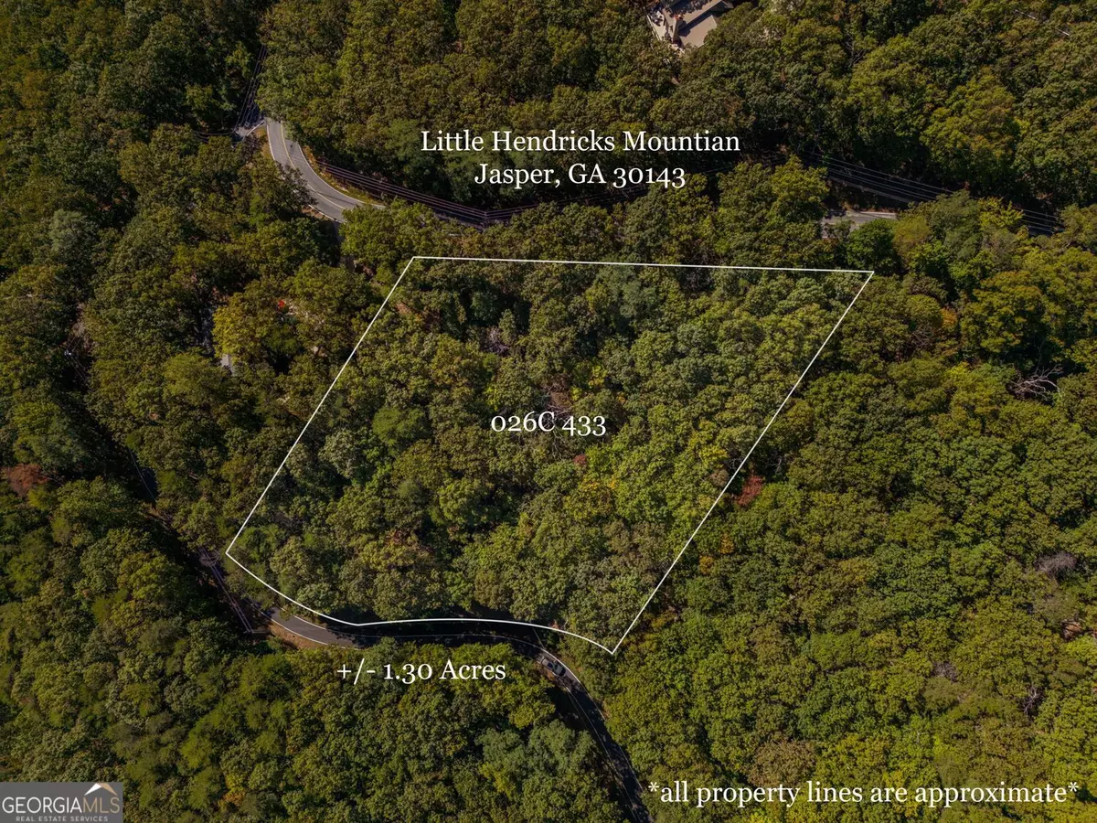 Jasper, GA 30143,0 Little Hendricks Mountain RD