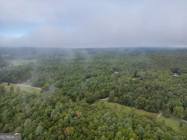 Blairsville, GA 30512,26 Honeysuckle CIR