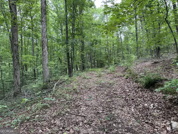 Cedartown, GA 30125,0 Brewsterfield RD