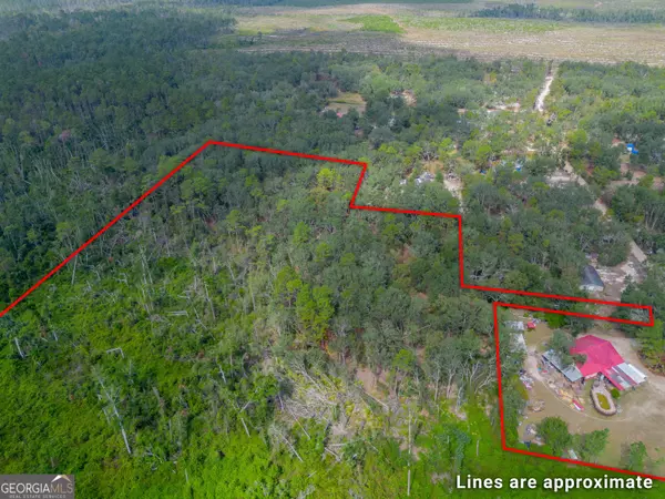 Pearson, GA 31642,0 Honeysuckle LN