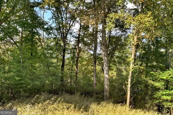 Ellijay, GA 30540,216 Pleasant Gap RD