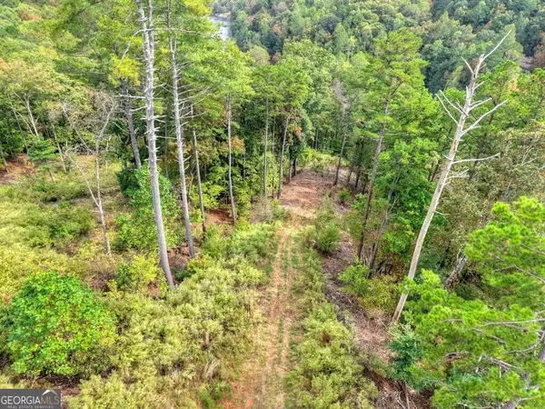 Ellijay, GA 30540,LT 269 River View TRL