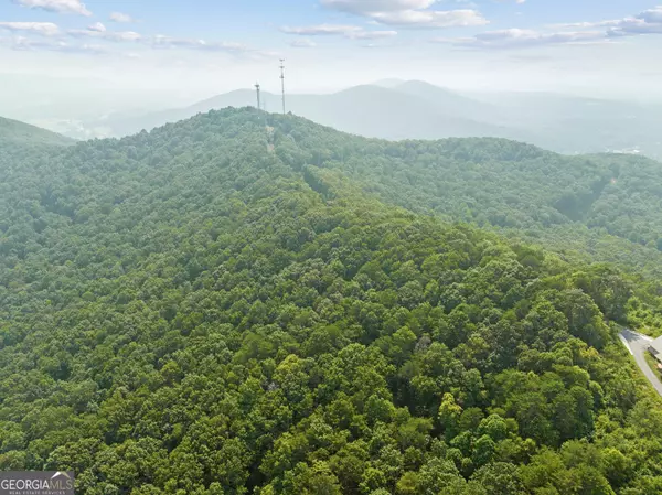 Cleveland, GA 30528,LOT 5 Lake View DR