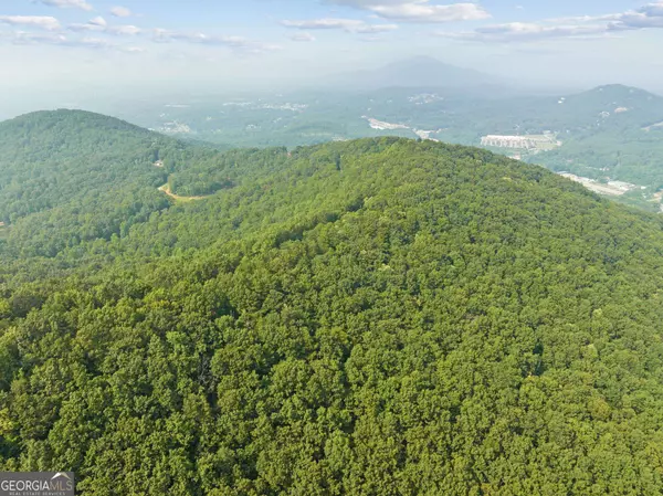 Cleveland, GA 30528,LOT 4 Lake View DR