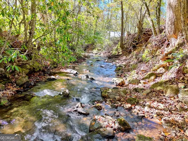 Hayesville, NC 28904,1064 Muskrat Creek RD