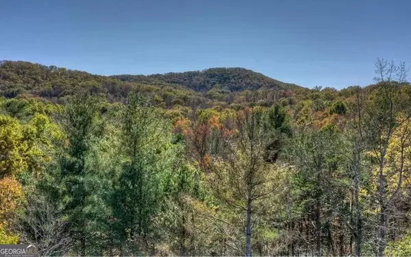 Blairsville, GA 30512,0 Loving RD