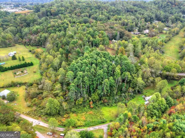 Blue Ridge, GA 30513,4.32 Scenic DR