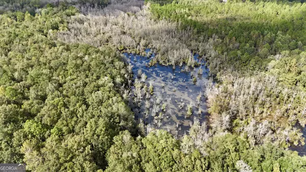 0 Rocky Springs RD, Eastman, GA 31023