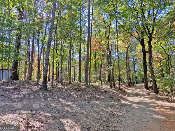 962 Winters Mountain RD, Dahlonega, GA 30533